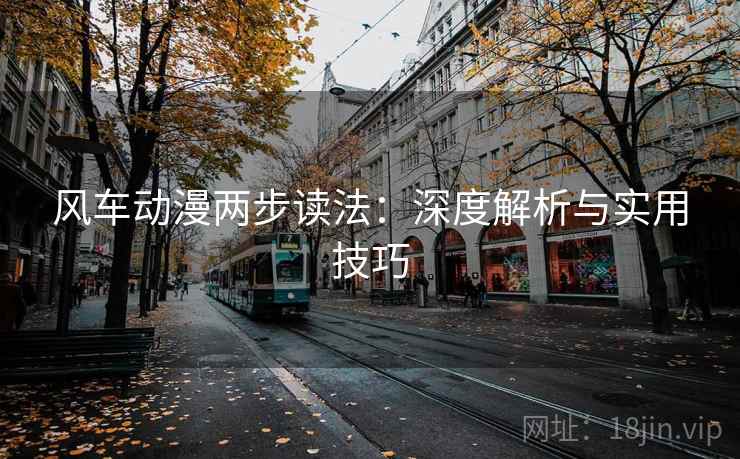 风车动漫两步读法：深度解析与实用技巧