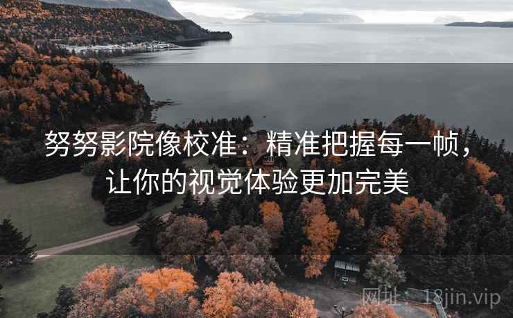 努努影院像校准：精准把握每一帧，让你的视觉体验更加完美