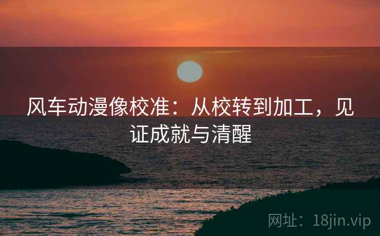 风车动漫像校准：从校转到加工，见证成就与清醒