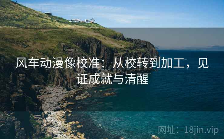 风车动漫像校准：从校转到加工，见证成就与清醒