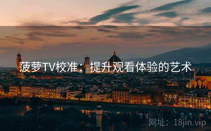 菠萝TV校准：提升观看体验的艺术