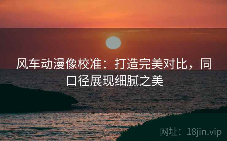 风车动漫像校准：打造完美对比，同口径展现细腻之美