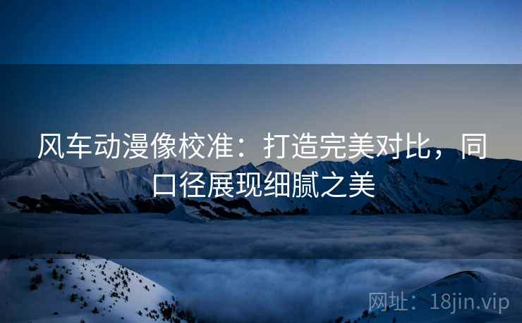 风车动漫像校准：打造完美对比，同口径展现细腻之美