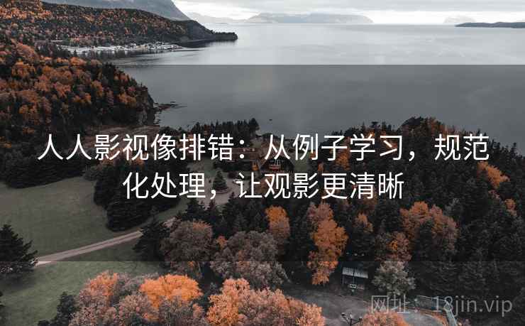 人人影视像排错：从例子学习，规范化处理，让观影更清晰