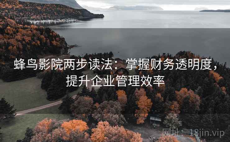 蜂鸟影院两步读法：掌握财务透明度，提升企业管理效率