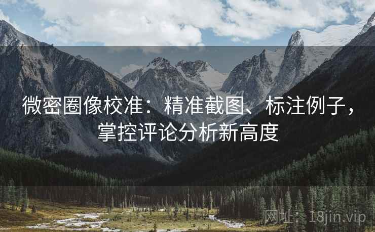 微密圈像校准：精准截图、标注例子，掌控评论分析新高度