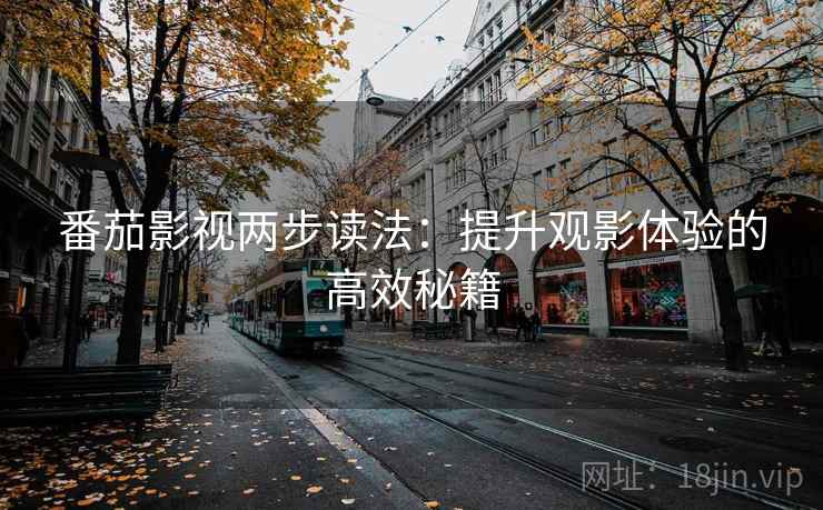 番茄影视两步读法：提升观影体验的高效秘籍  第2张